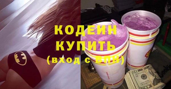 твердый Снежногорск