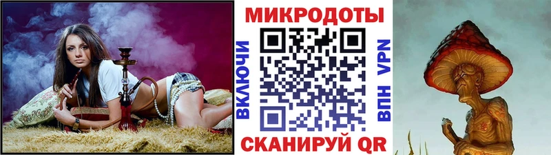 как найти наркотики Купино блэк спрут Псилоцибиновые грибы Psilocybe